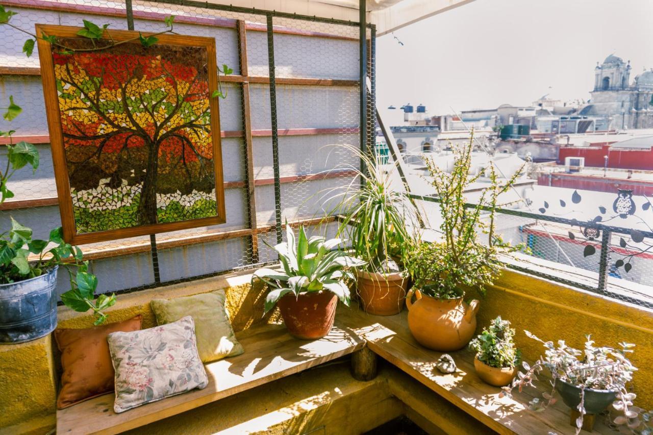 Boutique Hotel Casa Cid De Leon Oaxaca Экстерьер фото